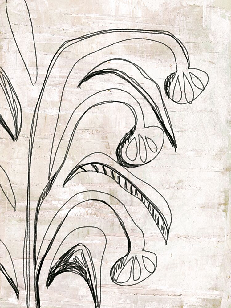 Organic Line Botanicals art print by Annick for $57.95 CAD