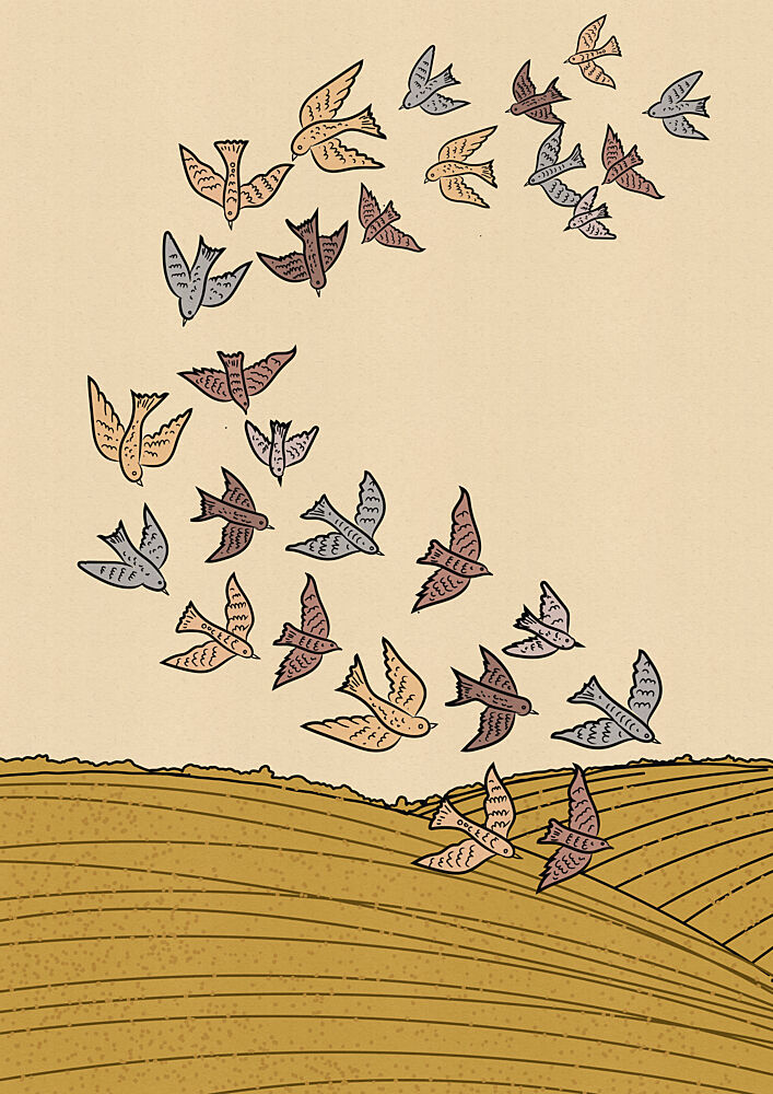 Flock Above Golden Fields art print by Nicholas for $57.95 CAD