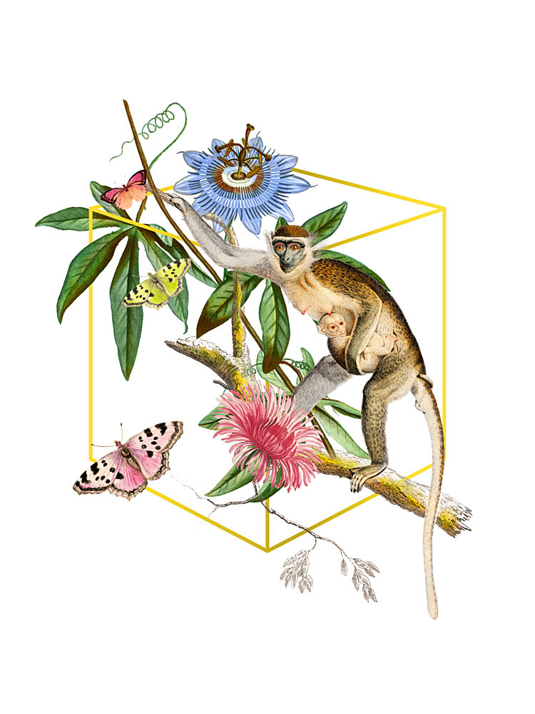 Mother Monkey Tropical Bloom art print by Marja van den Hurk for $57.95 CAD