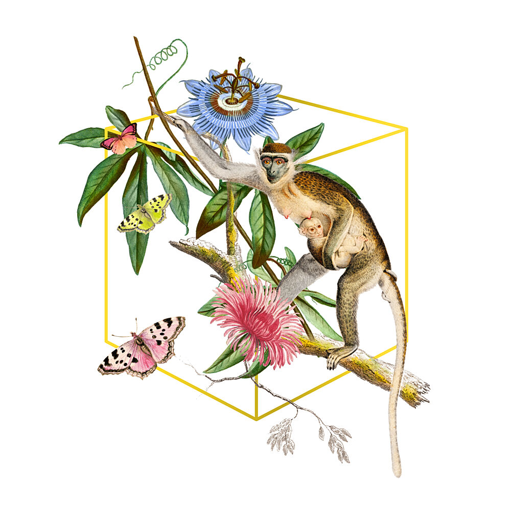 Tropical Monkey Blooms art print by Marja van den Hurk for $57.95 CAD