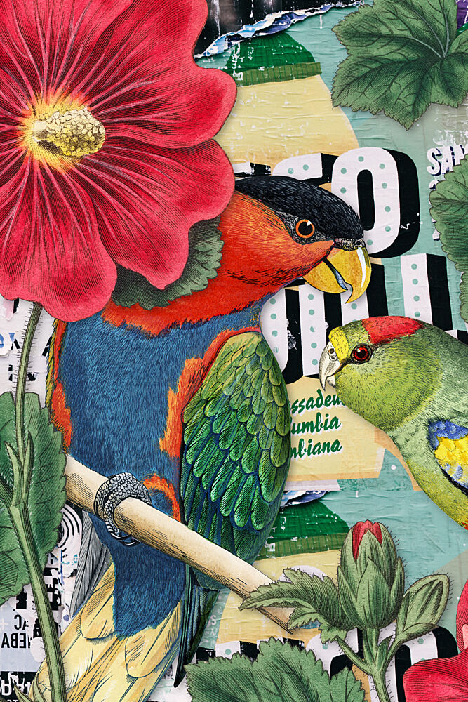 Tropical Parrot Collage art print by Marja van den Hurk for $57.95 CAD