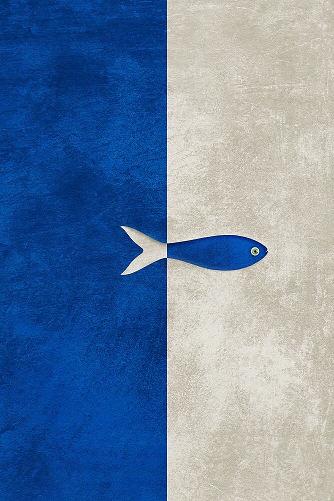 Blue White Split Fish art print by Ema Paraschiv for $57.95 CAD