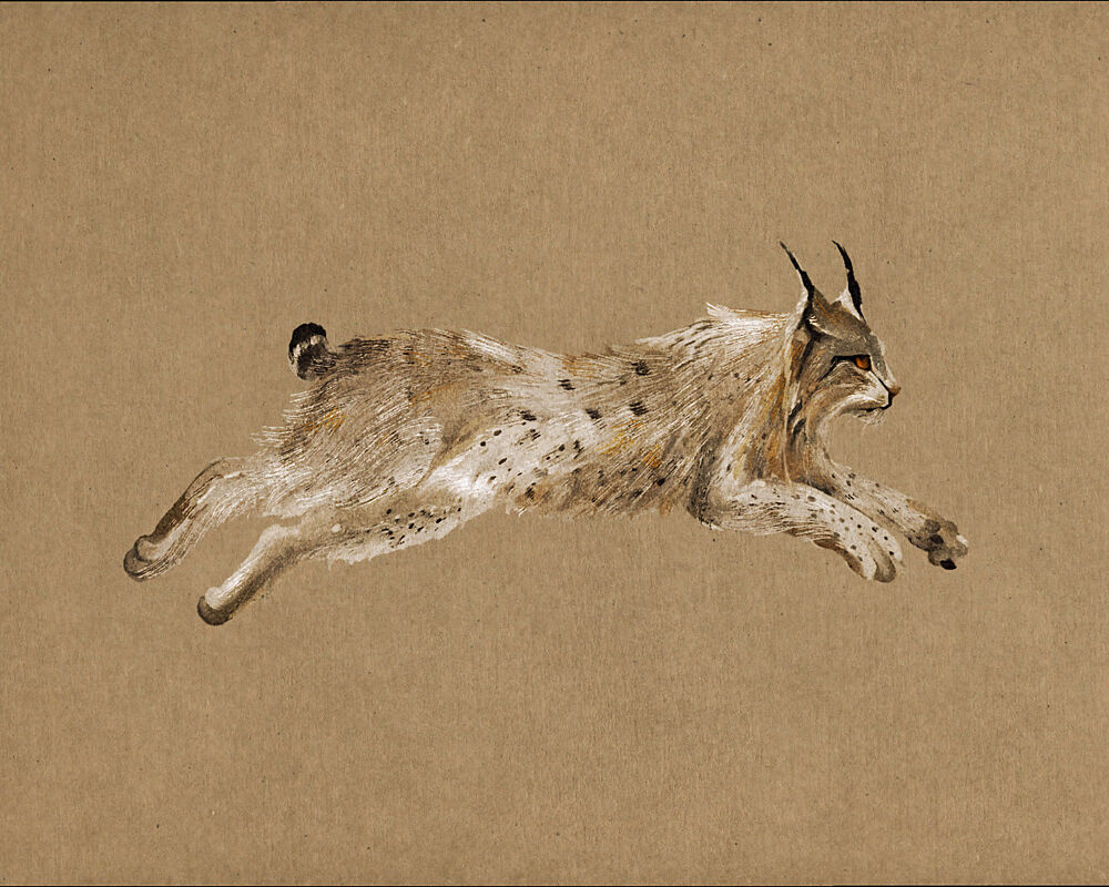 Running Lynx art print by Josie George for $57.95 CAD