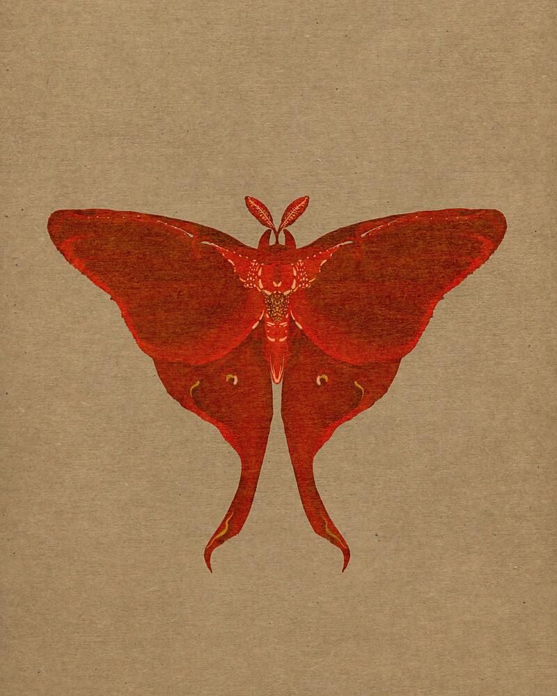 Elegant Red Moth art print by Josie George for $57.95 CAD