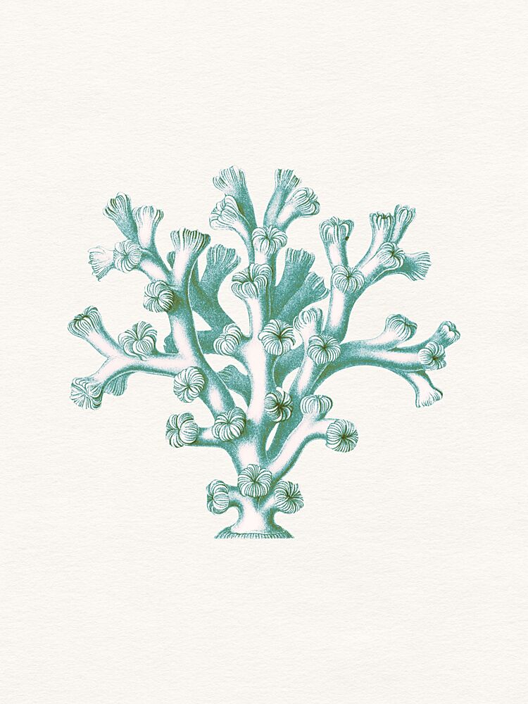 Vintage Teal Coral art print by Wild Violets for $57.95 CAD