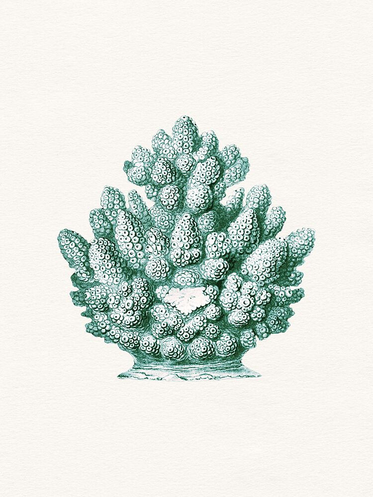 Teal Ocean Coral art print by Wild Violets for $57.95 CAD