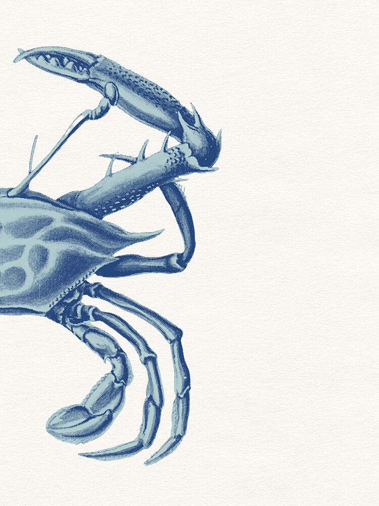 Vintage Blue Crab Drawing art print by Wild Violets for $57.95 CAD