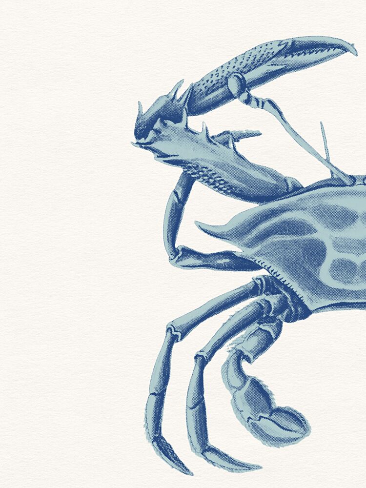Deep Blue Crab art print by Wild Violets for $57.95 CAD