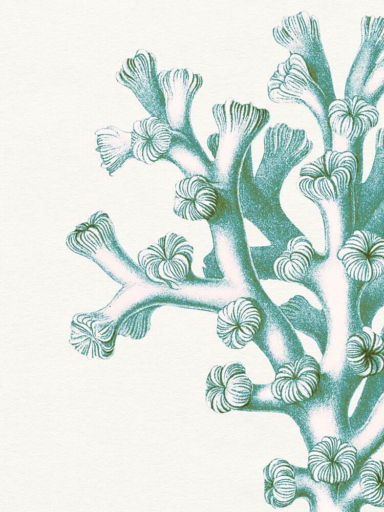 Serene Teal Coral art print by Wild Violets for $57.95 CAD