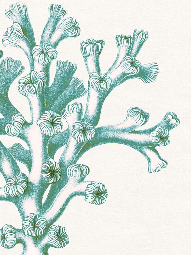 Vintage Aqua Coral art print by Wild Violets for $57.95 CAD