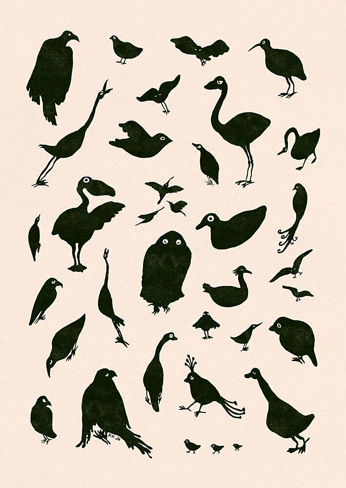 Diverse Bird Silhouettes art print by Katariina Kosunen for $57.95 CAD