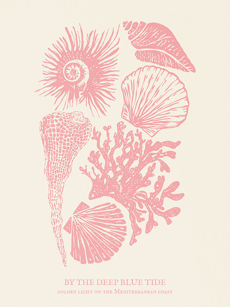 Vintage Marine Collection art print by Claudia Spano for $57.95 CAD