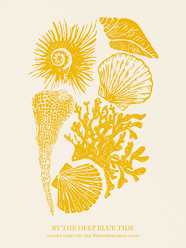 Golden Mediterranean Shells art print by Claudia Spano for $57.95 CAD