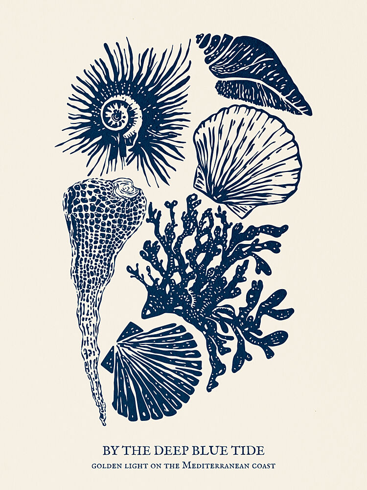 Mediterranean Marine Study art print by Claudia Spano for $57.95 CAD