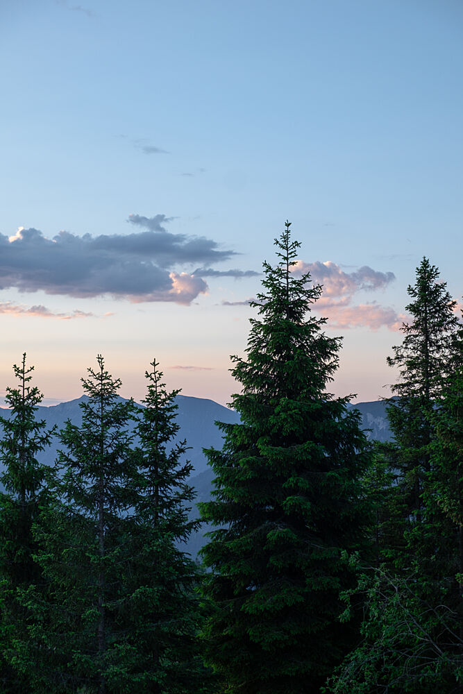 Twilight Forest Peaks art print by Mareike Bohmer for $57.95 CAD