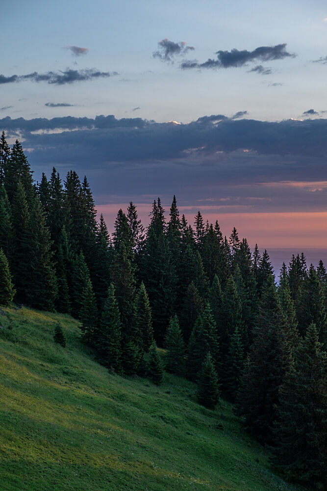 Twilight Mountain Forest art print by Mareike Bohmer for $57.95 CAD