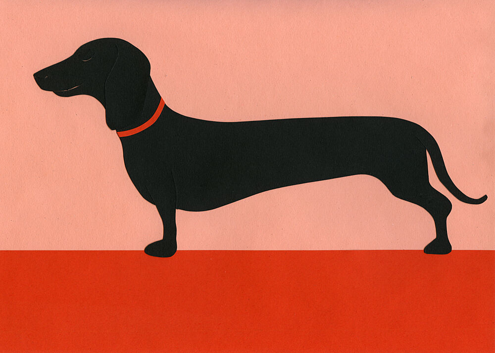 Stylish Black Dachshund art print by Rosi Feist for $57.95 CAD