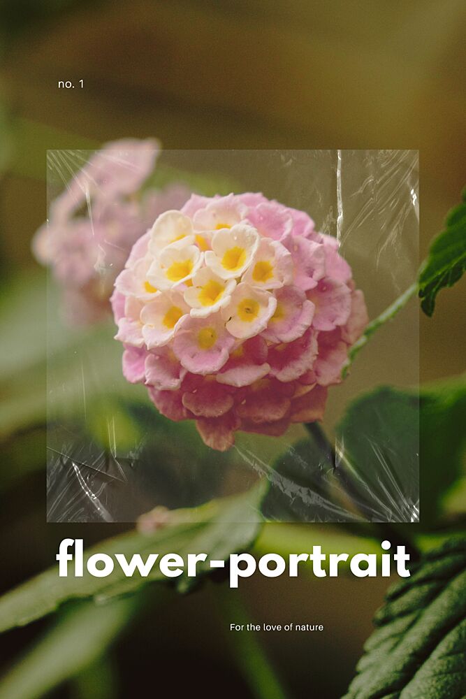 Natures Pink Portrait art print by Marianne Bassil for $57.95 CAD