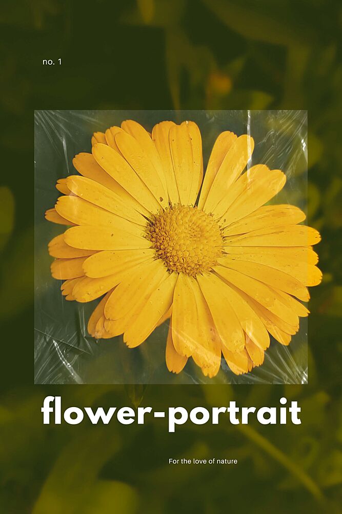 Yellow Flower Portrait art print by Marianne Bassil for $57.95 CAD