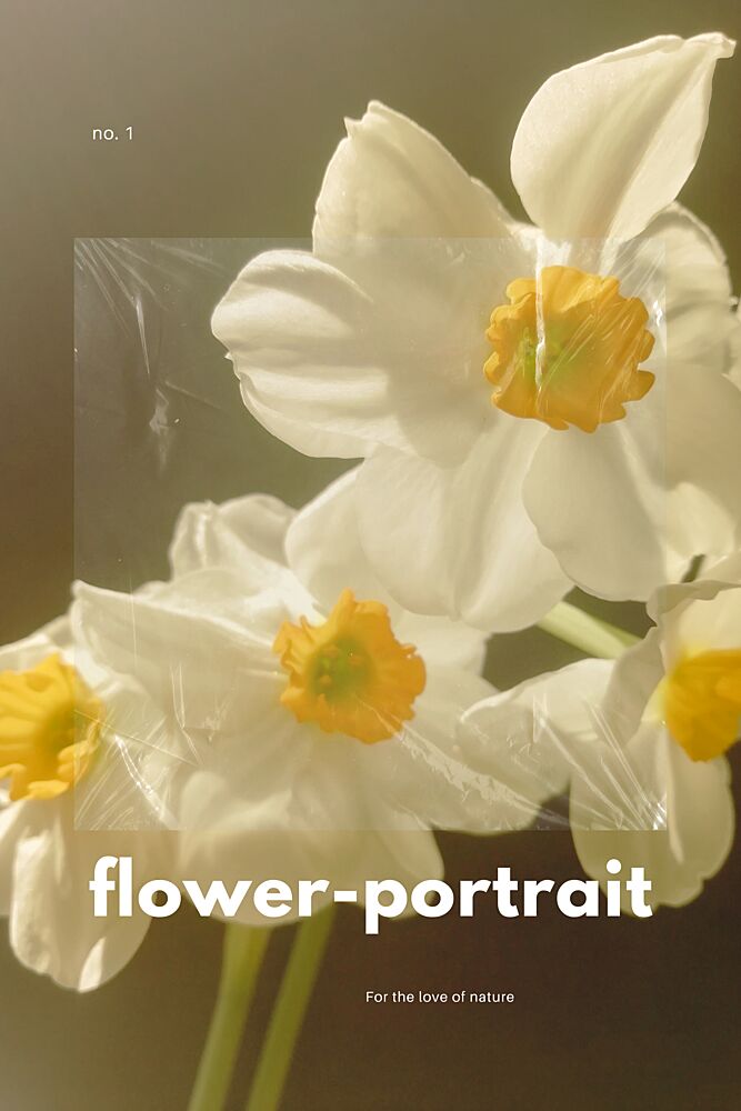 Daffodils art print by Marianne Bassil for $57.95 CAD