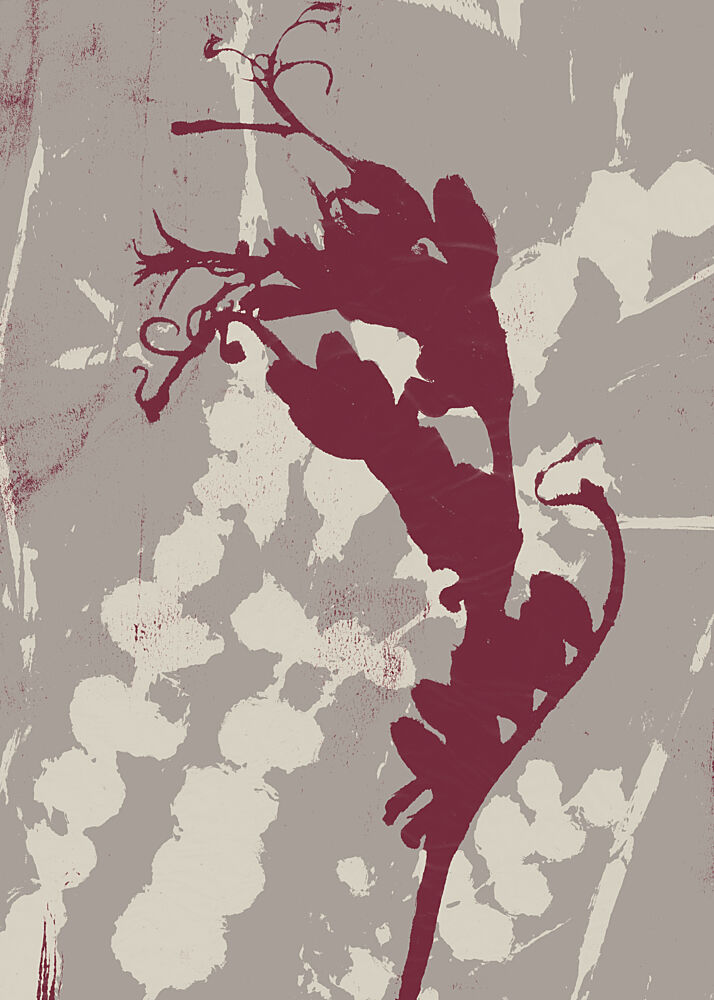 Distressed Botanical Silhouette art print by Dina Dankers for $57.95 CAD