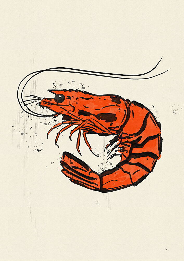 Vibrant Orange Shrimp art print by Nicholas for $57.95 CAD