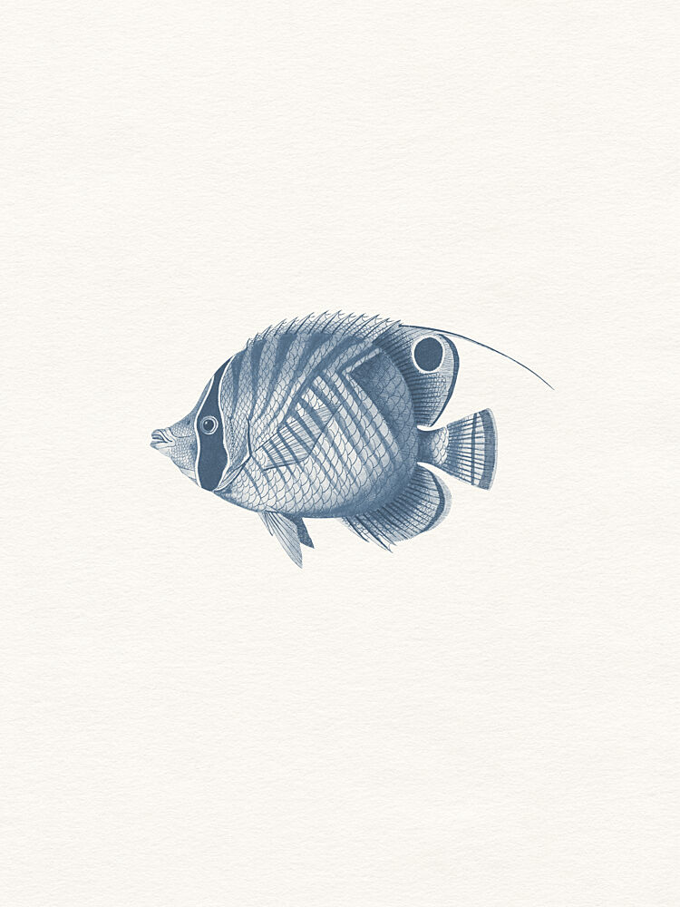 Blue Butterflyfish Drawing art print by Wild Violets for $57.95 CAD