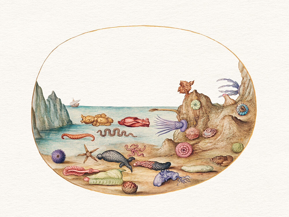 Mysterious Beach Creatures art print by Wild Violets for $57.95 CAD