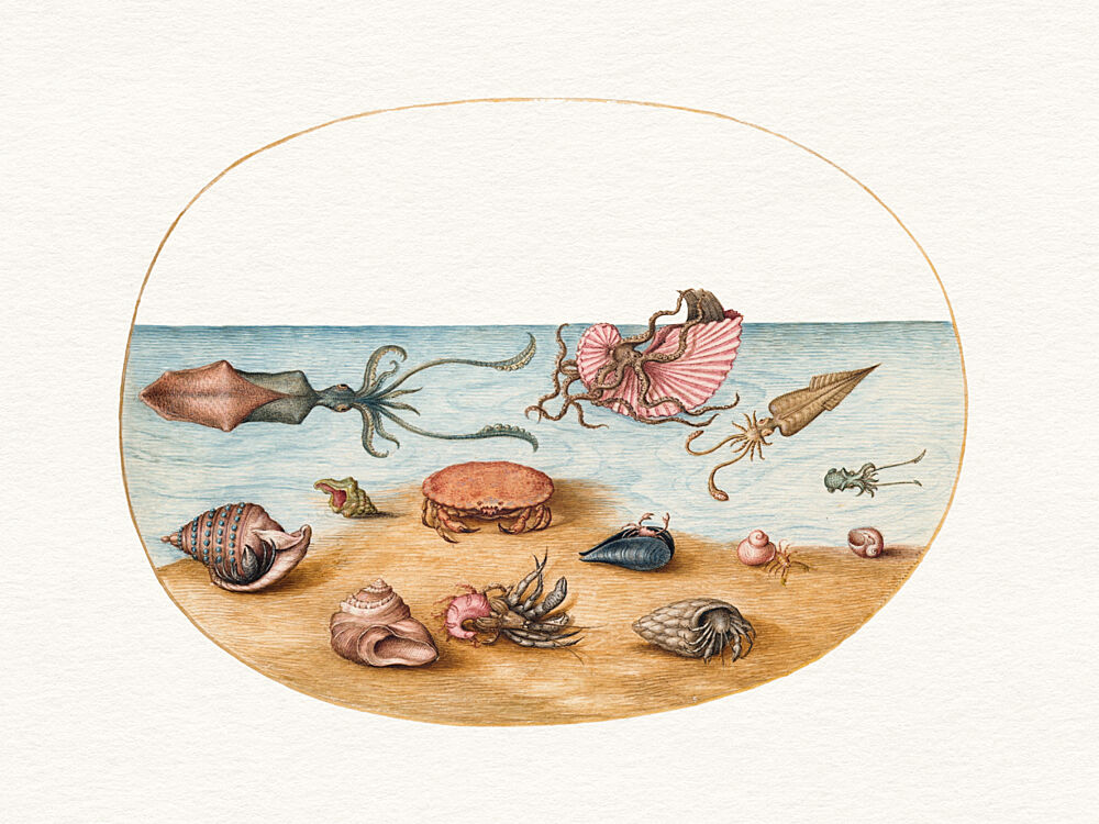 Marine Life Collection art print by Wild Violets for $57.95 CAD