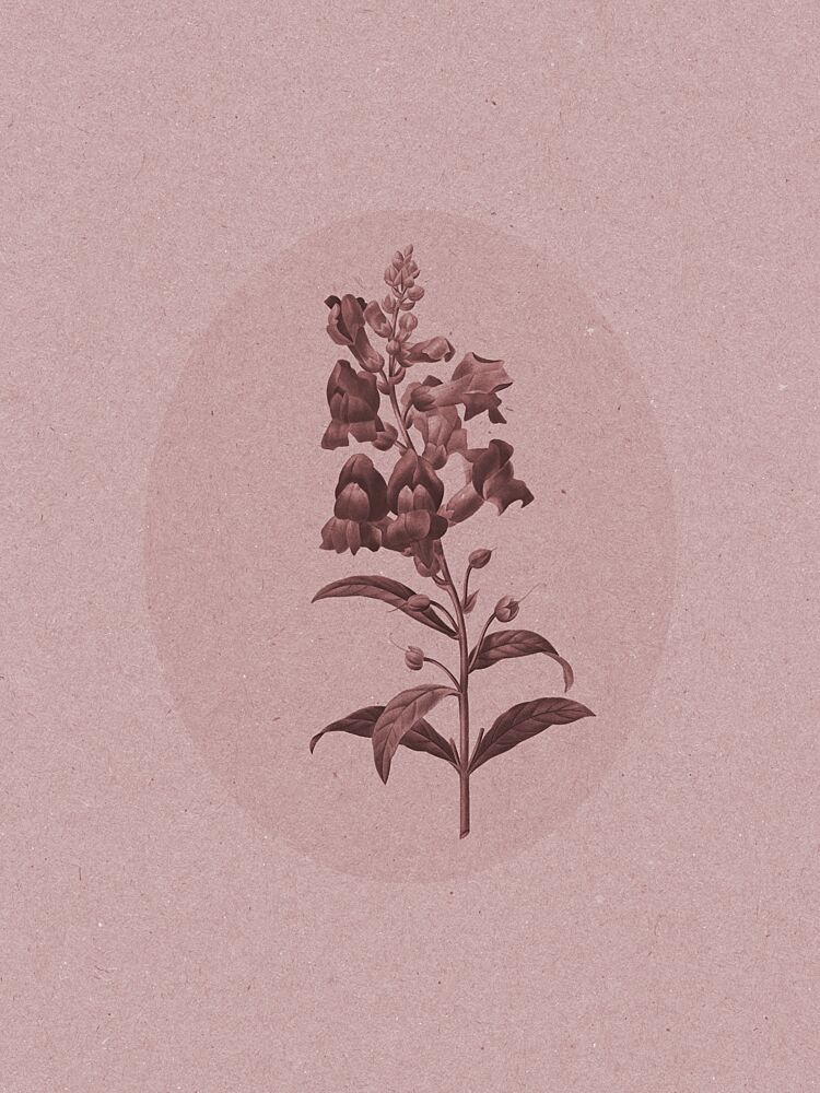 Elegant Botanical Study art print by Wild Violets for $57.95 CAD