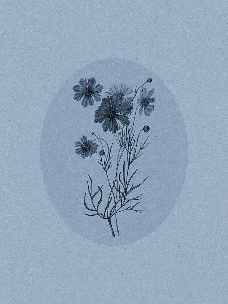 Delicate Blue Flowers art print by Wild Violets for $57.95 CAD