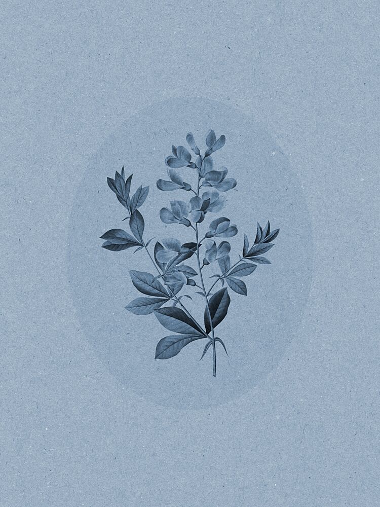Serene Blue Botanical art print by Wild Violets for $57.95 CAD