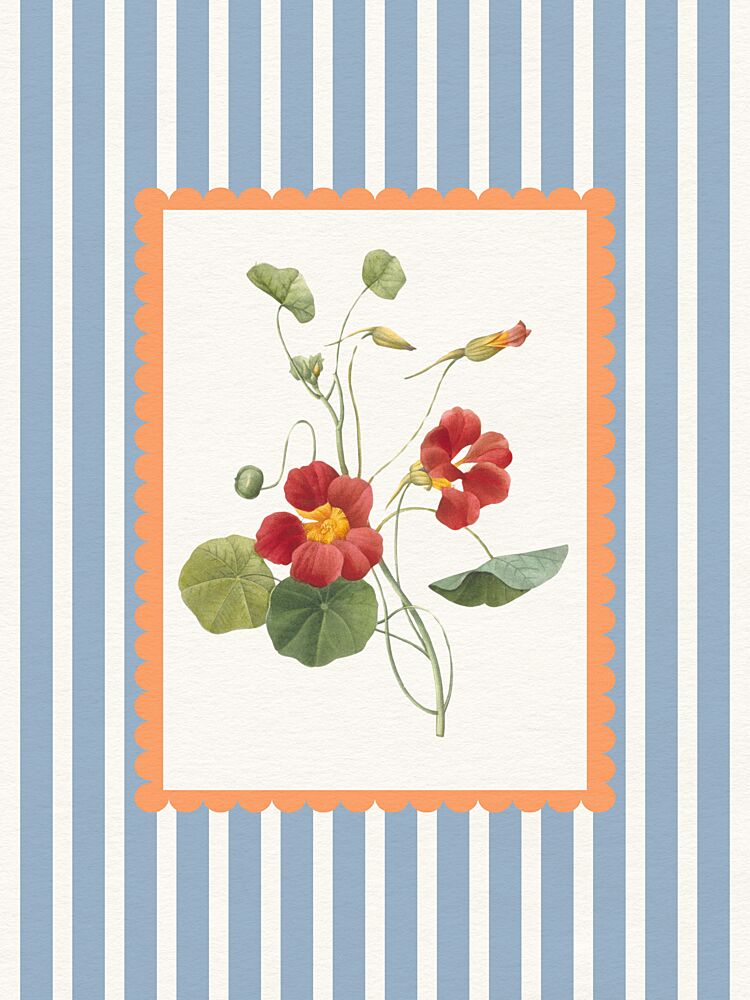 Vintage Nasturtium Bloom art print by Wild Violets for $57.95 CAD