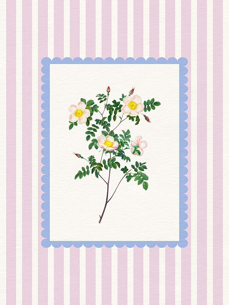 Classic Rose Illustration art print by Wild Violets for $57.95 CAD