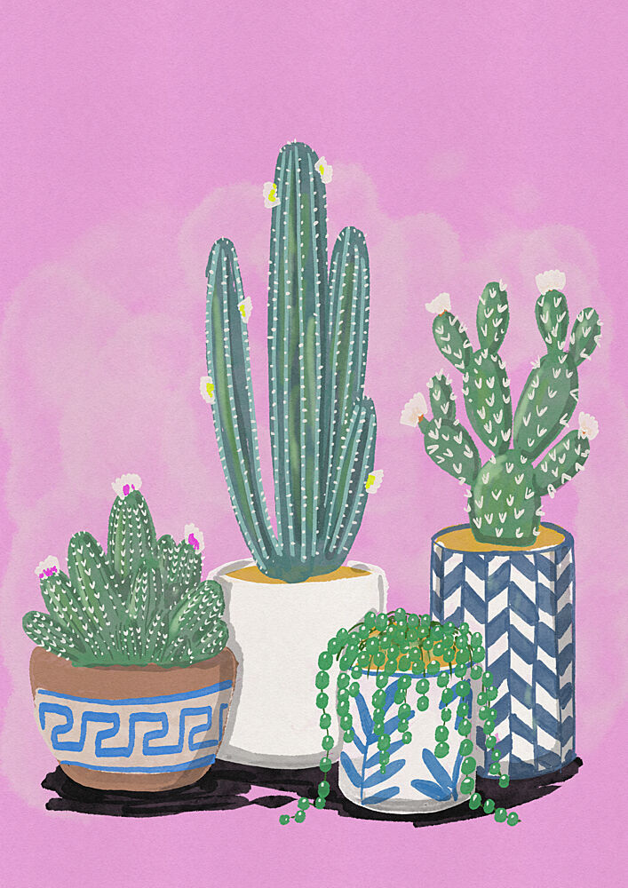 Blooming Potted Cacti art print by Nicholas for $57.95 CAD