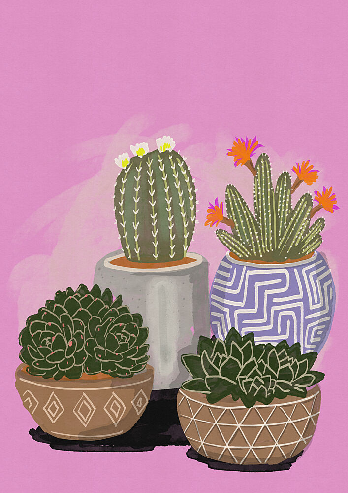 Colorful Cacti and Succulents art print by Nicholas for $57.95 CAD