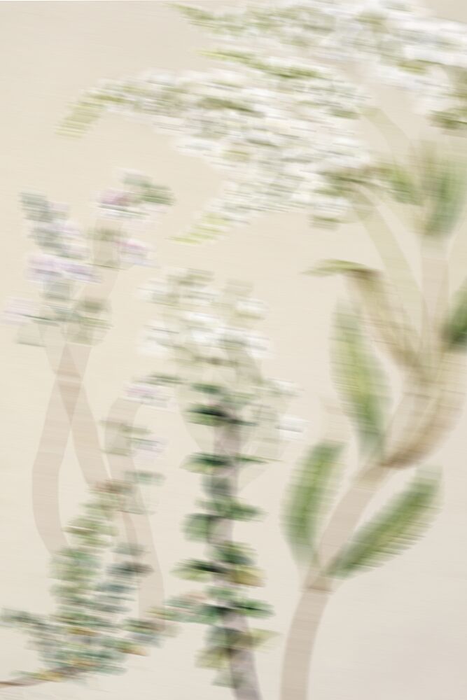 Dreamy White Blooms art print by The Art Concept for $57.95 CAD