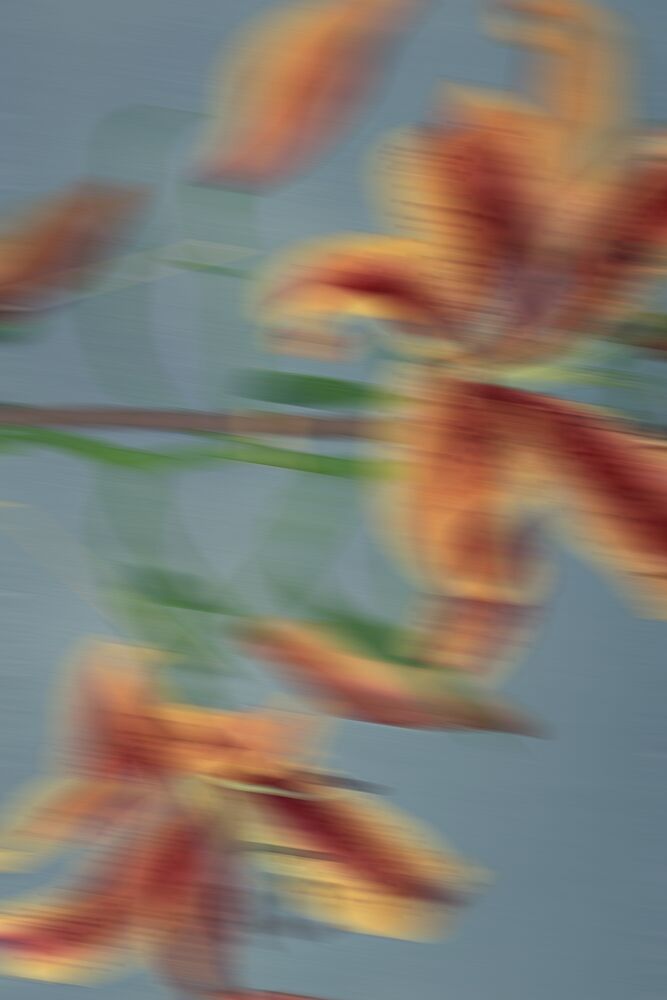 Vibrant Floral Blur art print by The Art Concept for $57.95 CAD