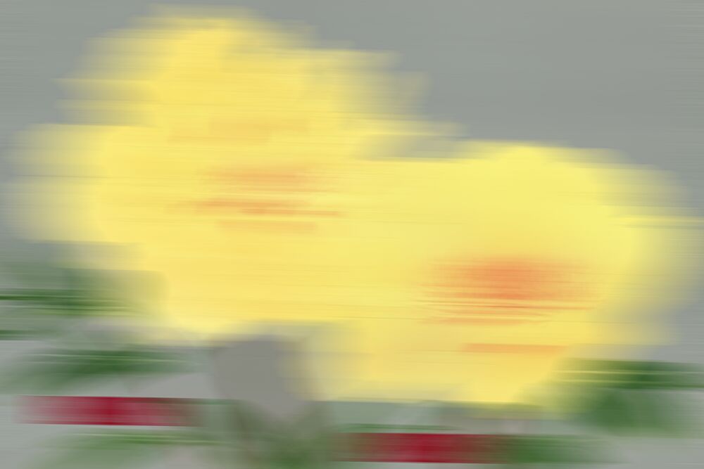 Blurred Yellow Blossoms art print by The Art Concept for $57.95 CAD