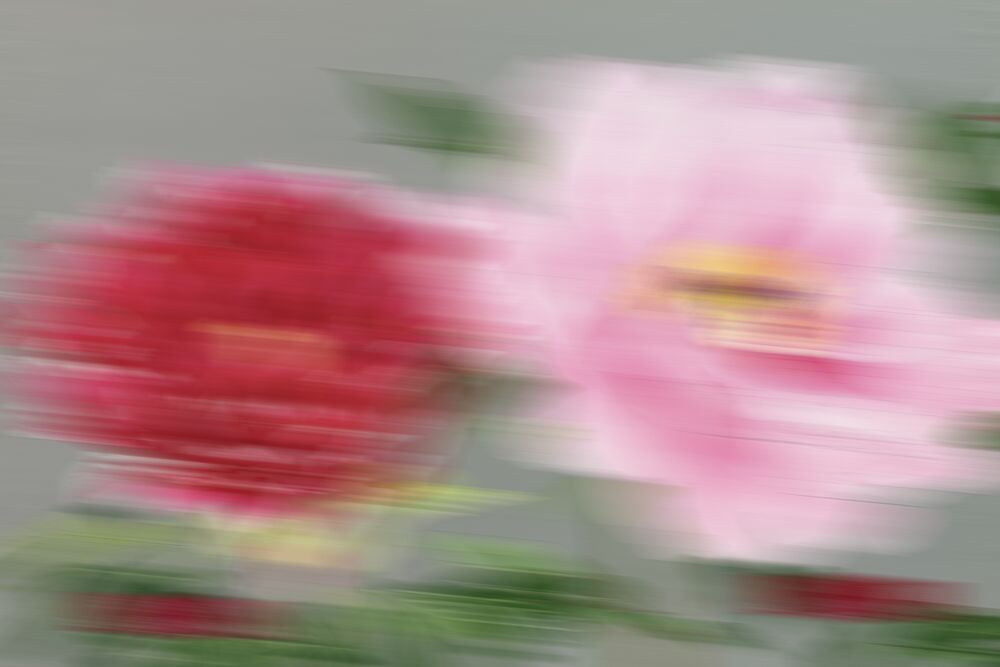 Dreamy Pink Blooms art print by The Art Concept for $57.95 CAD