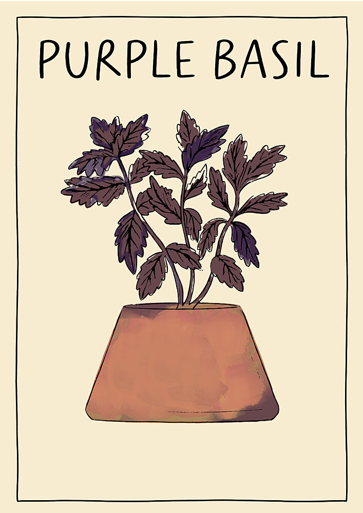 Potted Purple Basil art print by Cartissi for $57.95 CAD