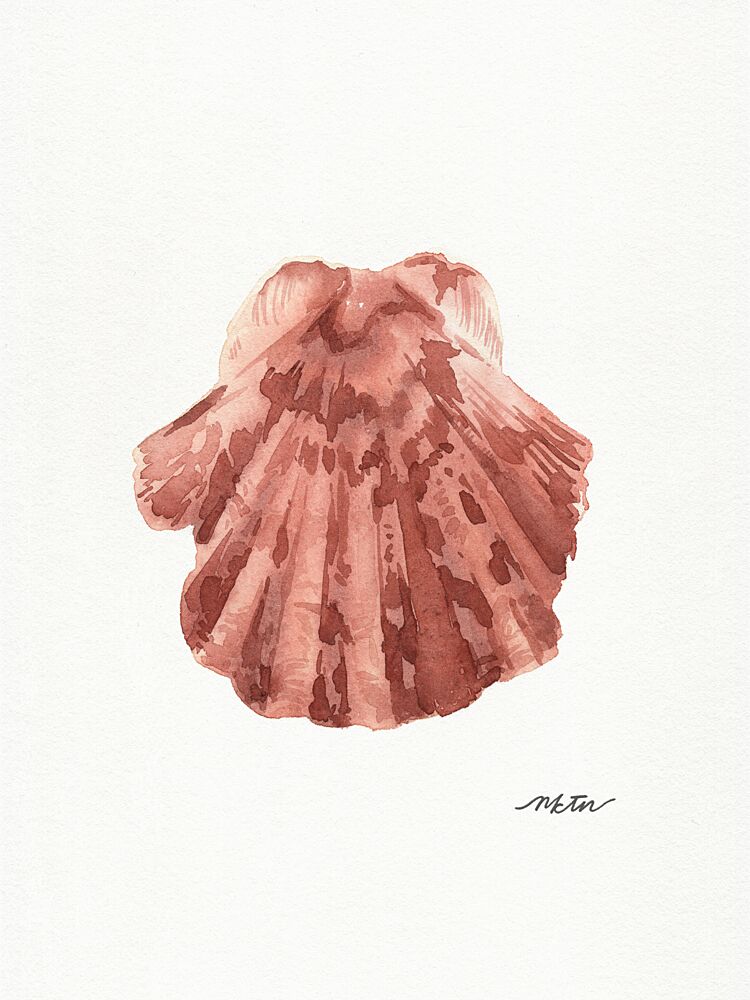 Pink Scallop Seashell art print by Nktn for $57.95 CAD