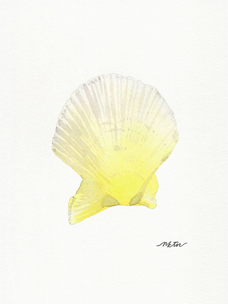 Sunny Scallop Shell art print by Nktn for $57.95 CAD
