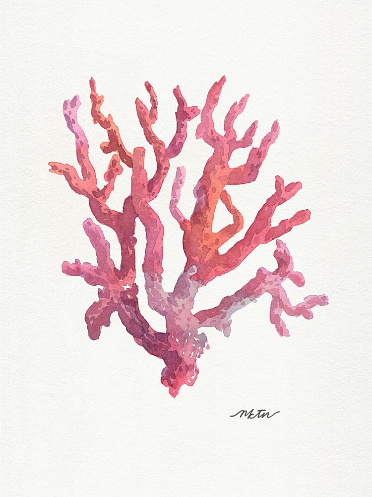 Pink Coral Watercolor art print by Nktn for $57.95 CAD
