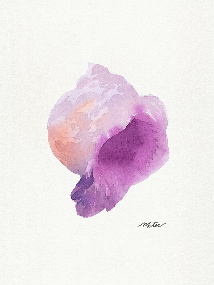 Purple Seashell Watercolor art print by Nktn for $57.95 CAD