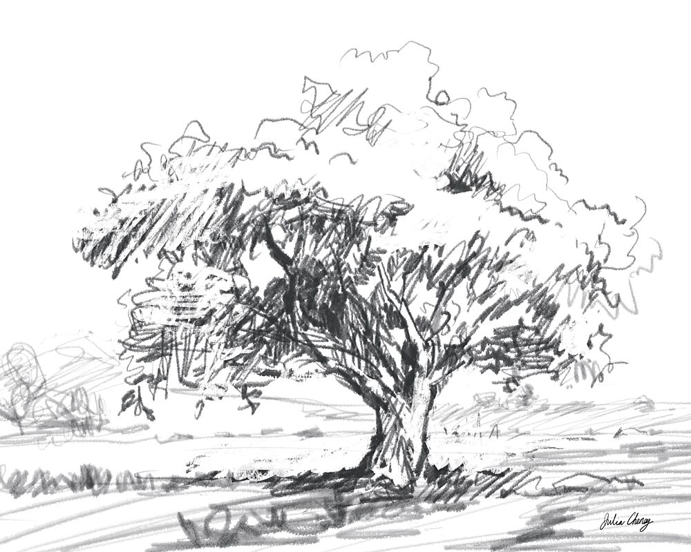 Rustic Tree Drawing art print by Julia Cheney for $57.95 CAD
