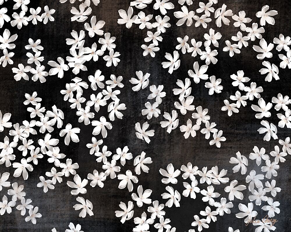 Delicate White Petals art print by Julia Cheney for $57.95 CAD