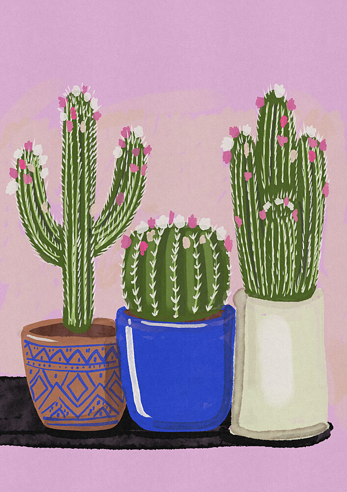 Blooming Potted Cacti art print by Nicholas for $57.95 CAD