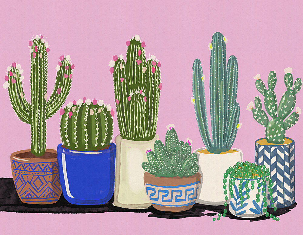 Colorful Cactus Garden art print by Nicholas for $57.95 CAD
