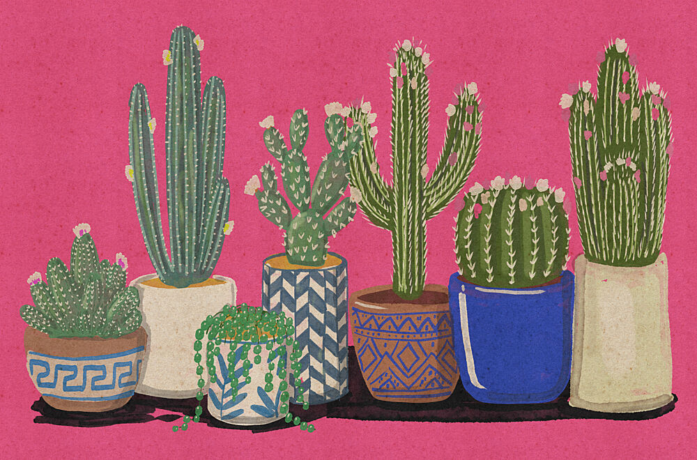 Vibrant Cacti Collection art print by Nicholas for $57.95 CAD